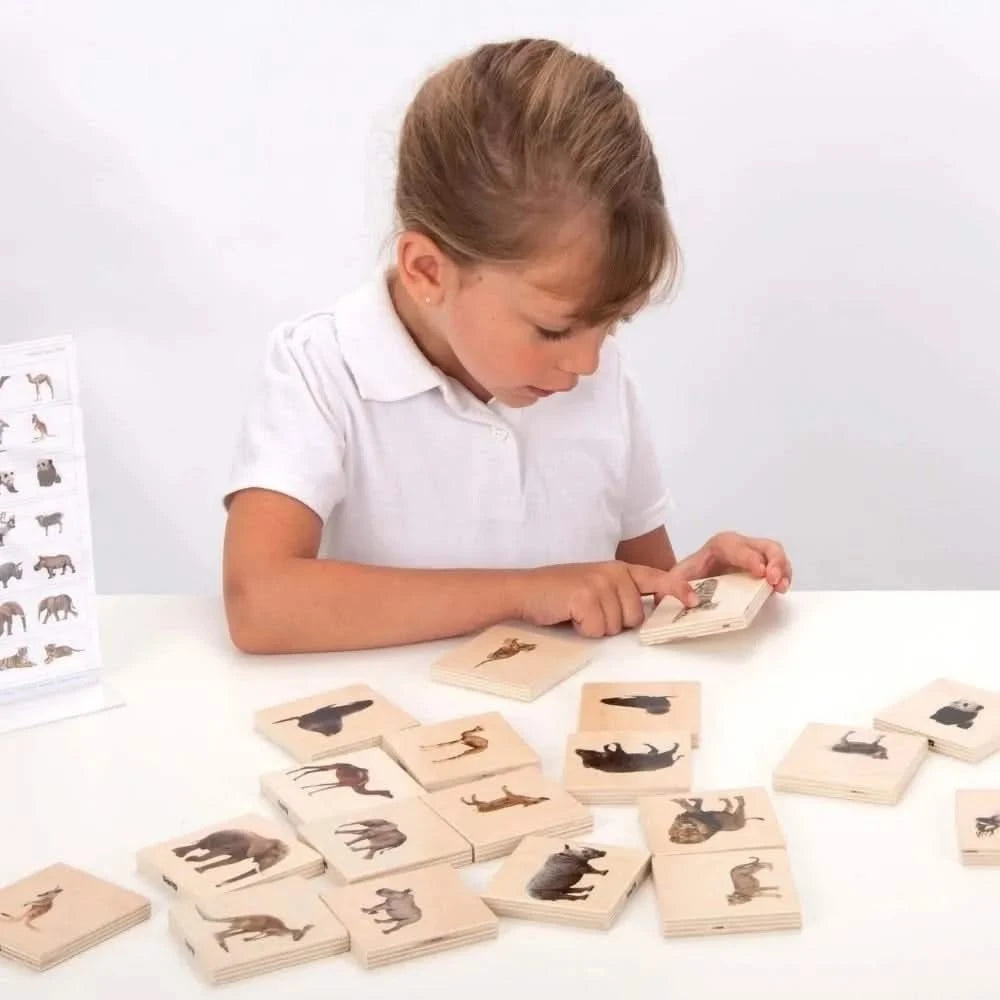 Domestic Animal Family Match Game-Domestic Animal Family Match Game