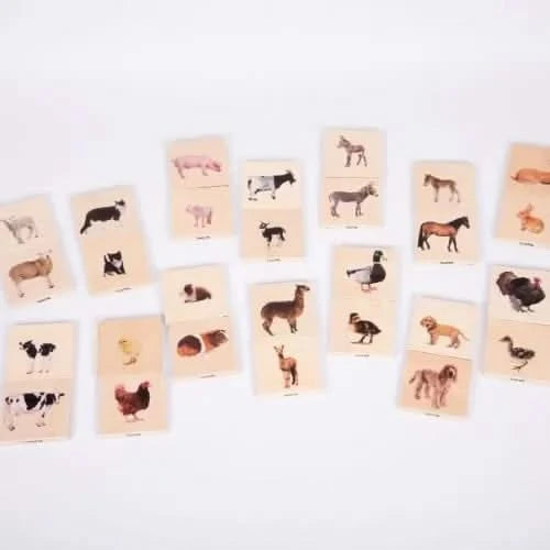 Domestic Animal Family Match Game-Domestic Animal Family Match Game