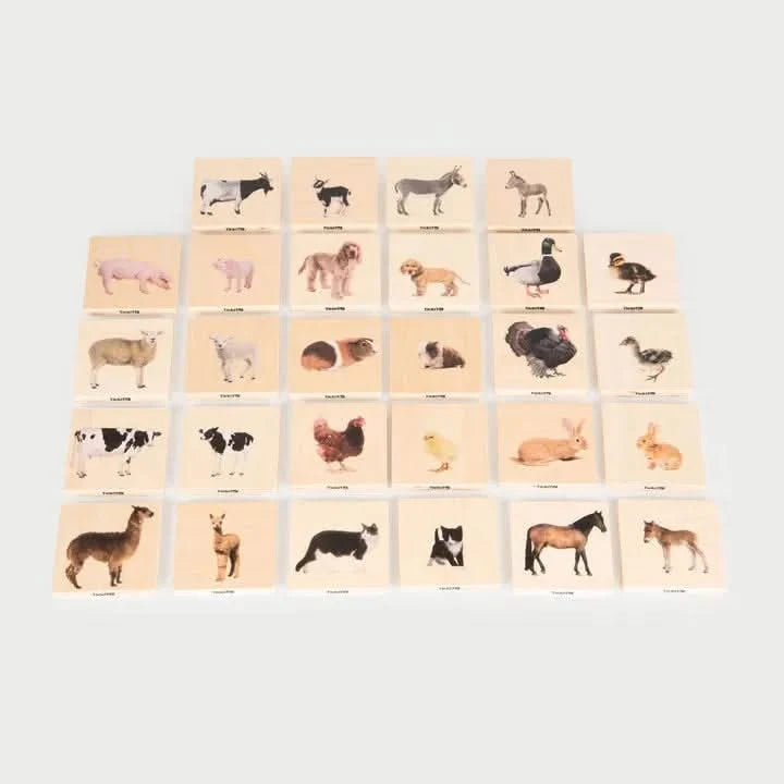 Domestic Animal Family Match Game-Domestic Animal Family Match Game