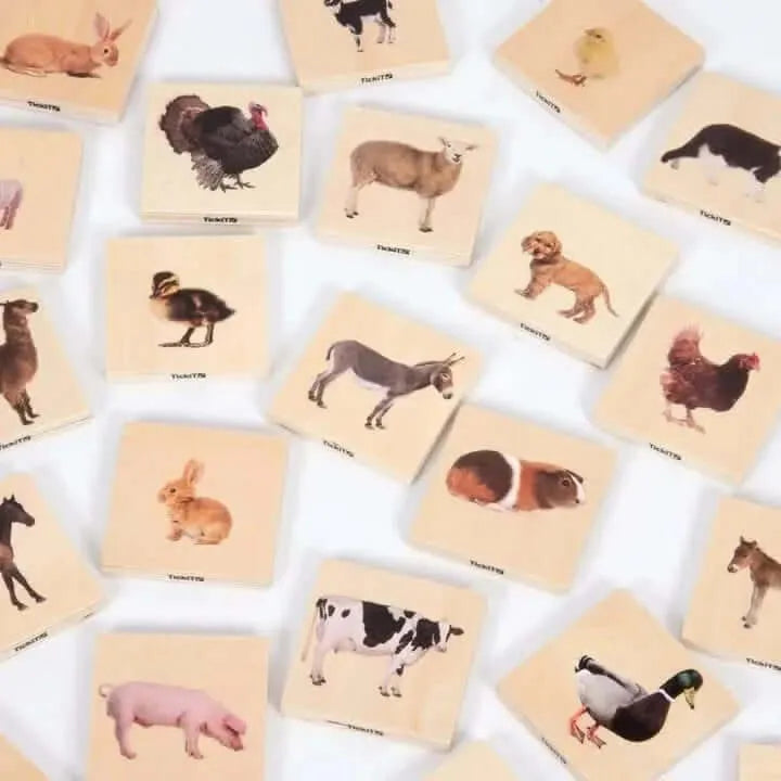 Domestic Animal Family Match Game-Domestic Animal Family Match Game