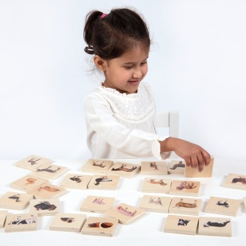 Domestic Animal Family Match Game, A fun and versatile wooden game, our TickiT® Domestic Animal Family Match is a set of fourteen pairs of smooth tactile basswood ply tiles with a clear colour print on one side of real photographic images of adult domestic animals and their young. The square chunky tiles are easy for your child to hold and turn over in their hands. A great way to discuss with your child where animals live, what they eat, are they prey or predators, where your child can see or visit them, ho