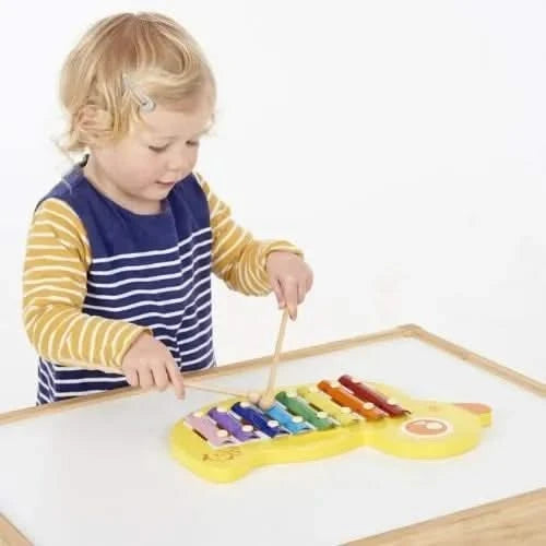 Duck Xylophone-Duck Xylophone