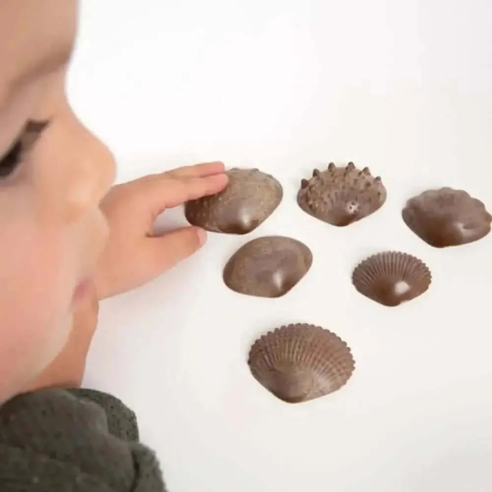 Eco Friendly Tactile Shells Pack 36-Eco Friendly Tactile Shells Pack 36