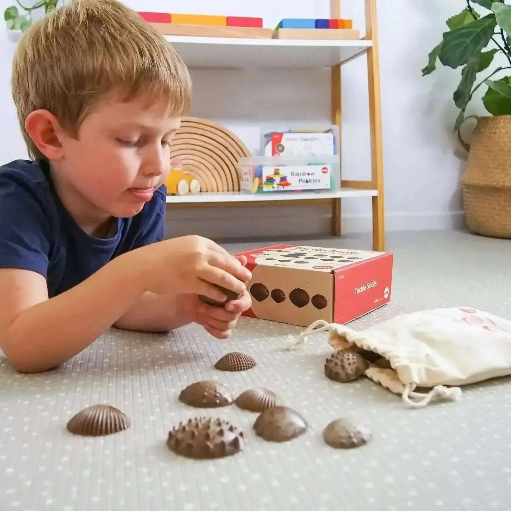 Eco Friendly Tactile Shells Pack 36-Eco Friendly Tactile Shells Pack 36