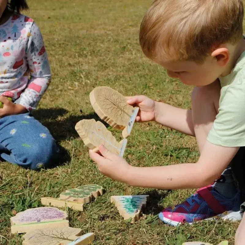 Exploring Seasons Collection-Exploring Seasons Collection