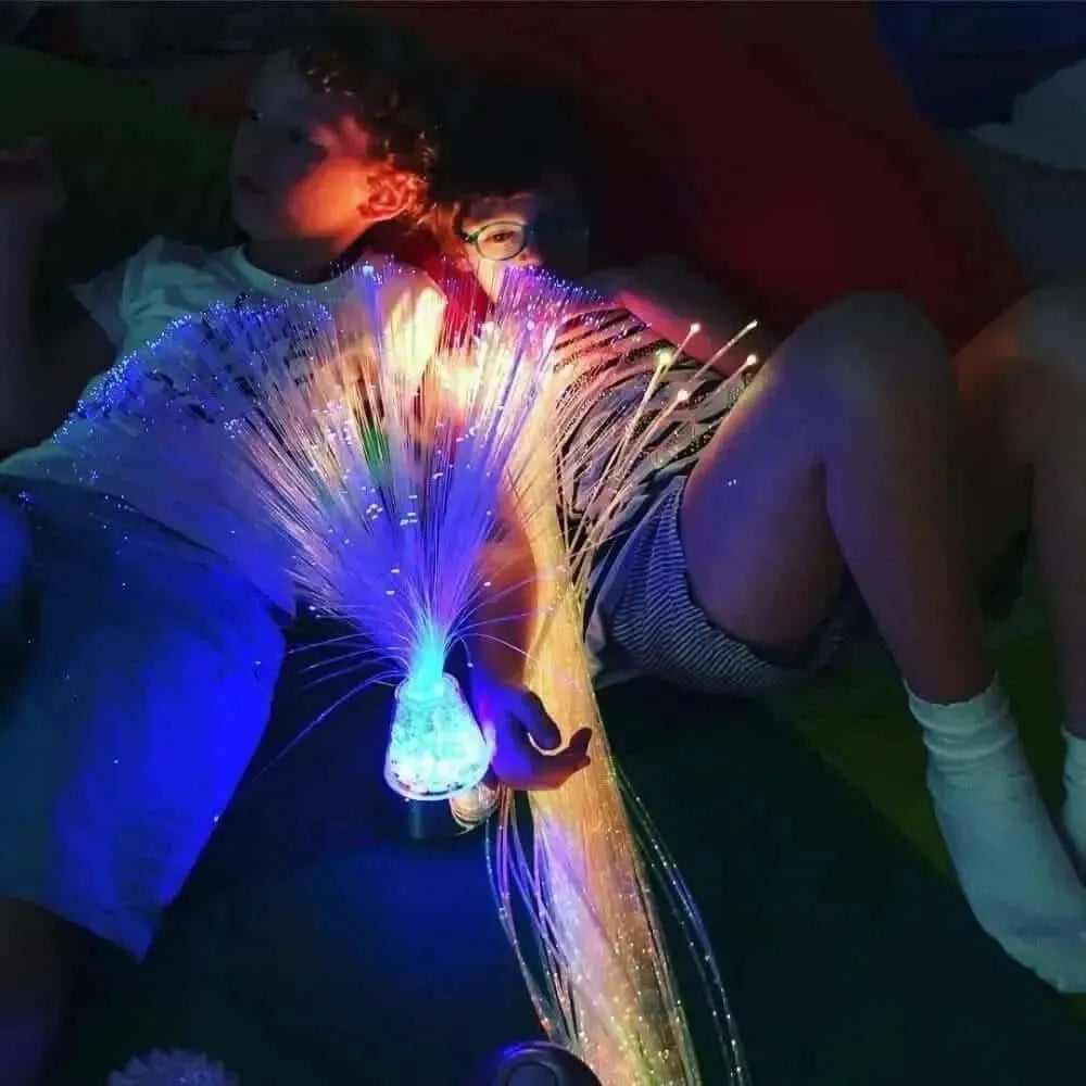 Fibre optic ice lamp-Fibre optic ice lamp