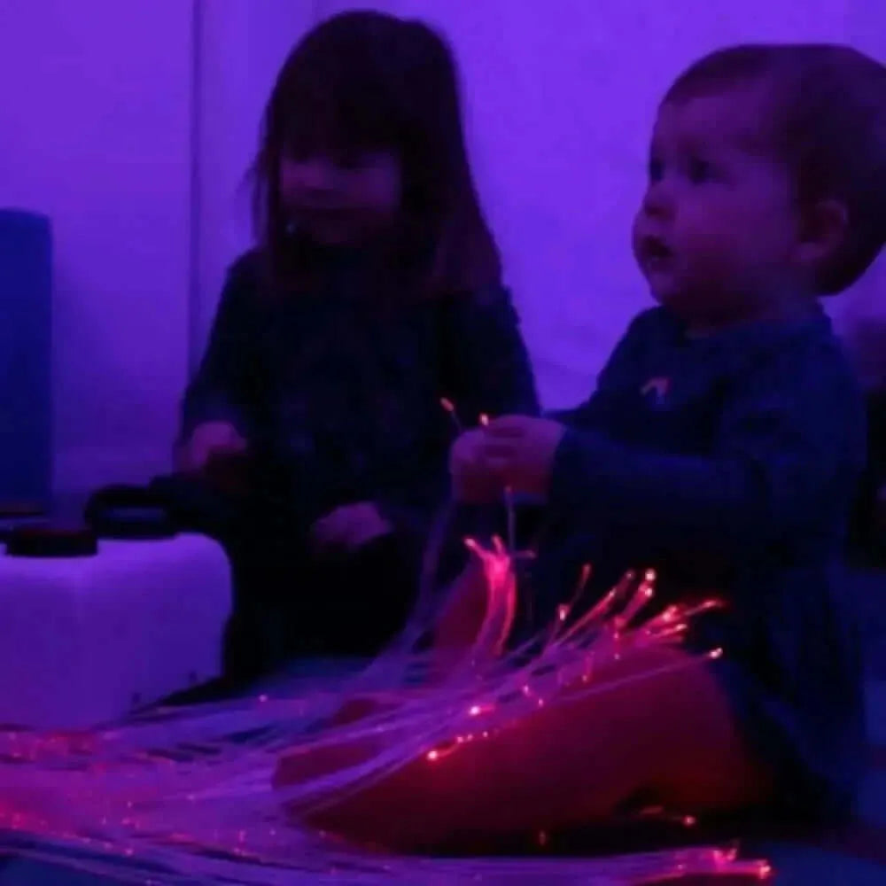 Fibre optic sensory light system-Fibre optic sensory light system