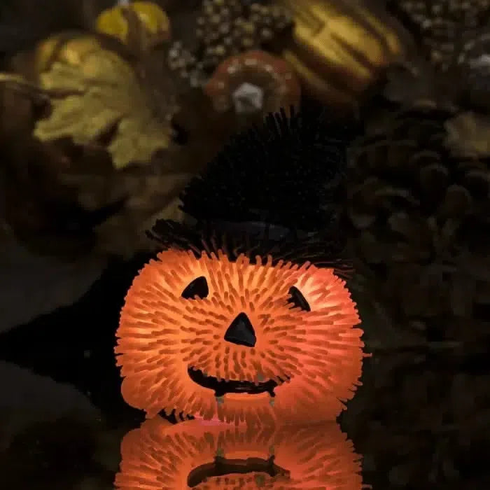 Flashing spooky squidgies-Flashing spooky squidgies