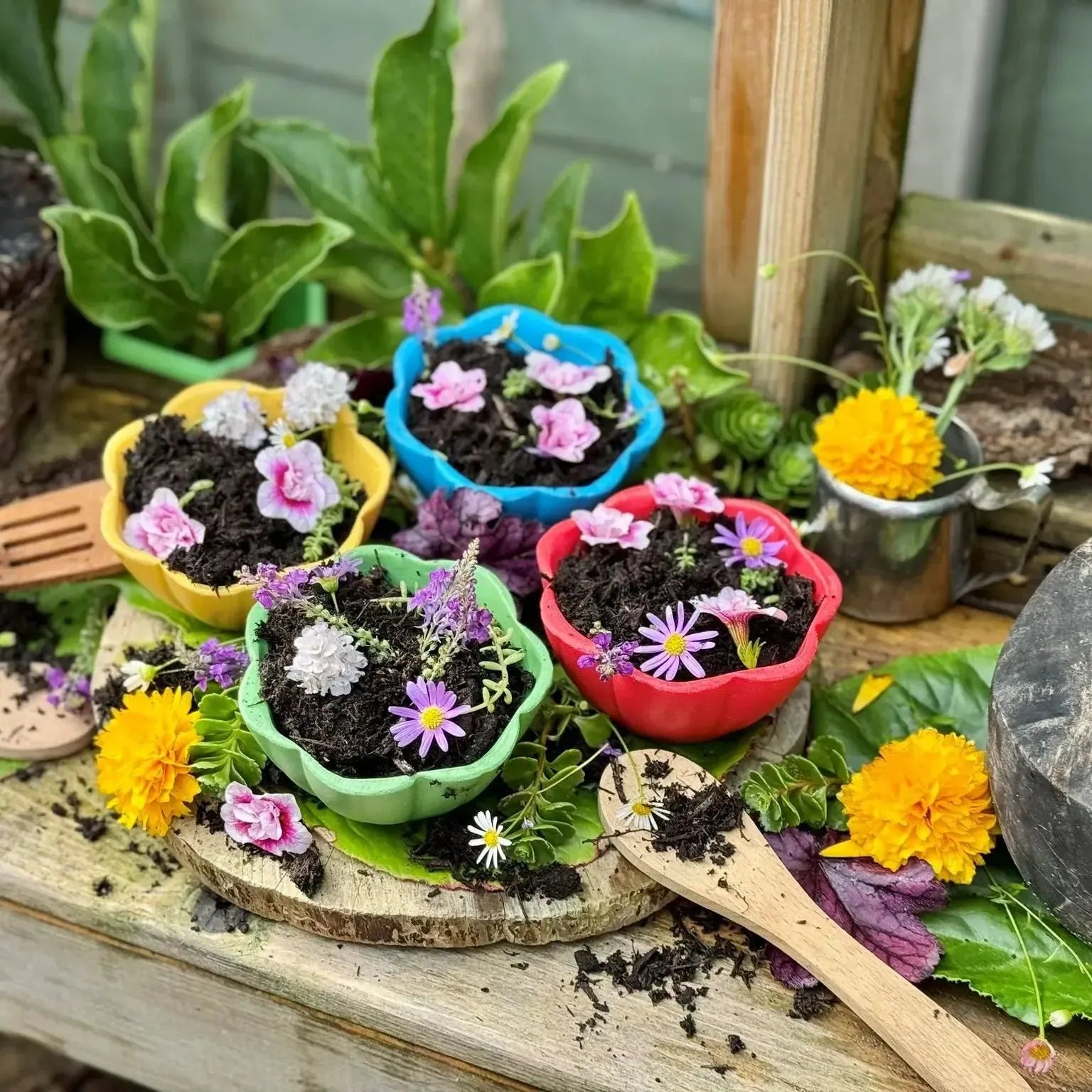 Flower Bowls-Flower Bowls
