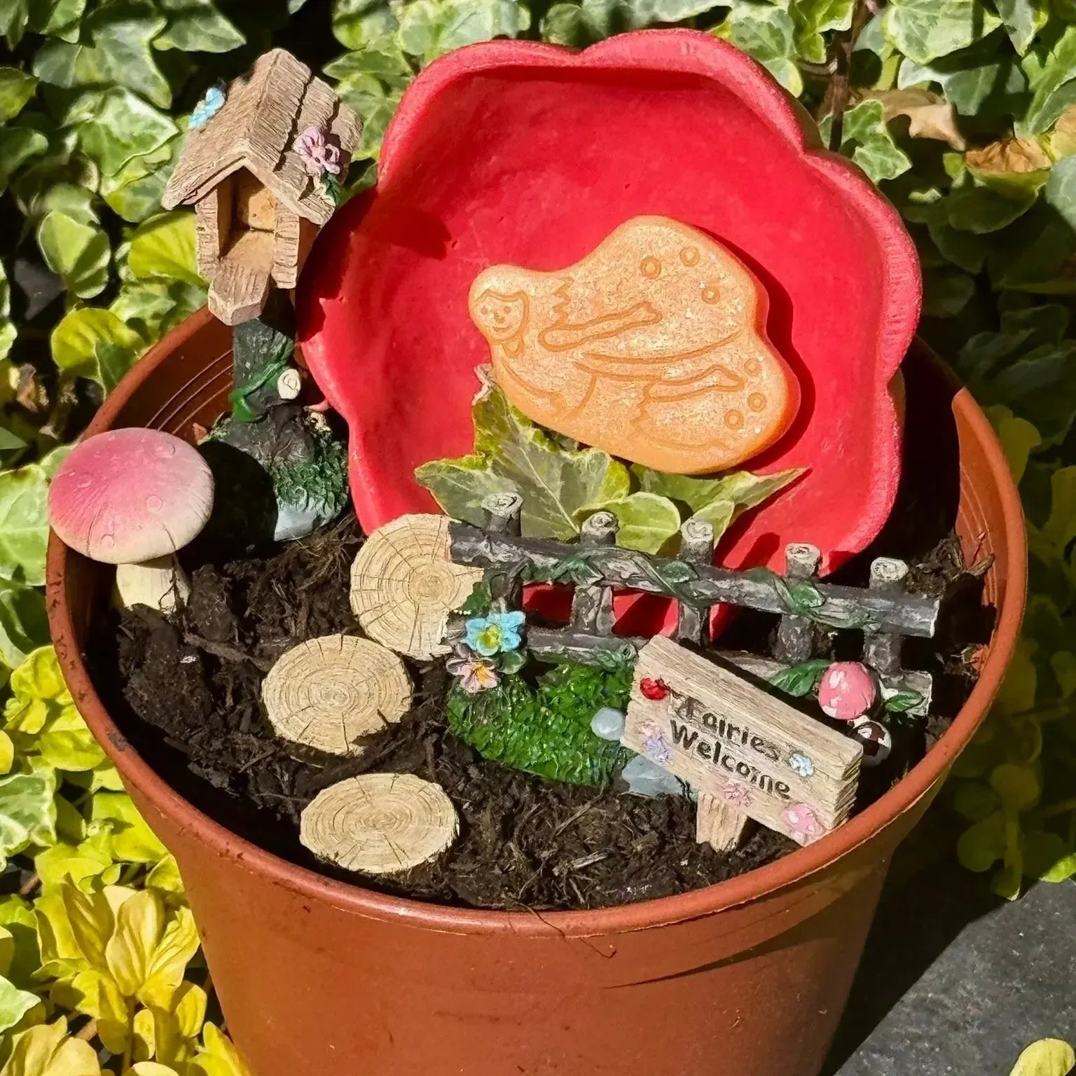 Flower Bowls-Flower Bowls