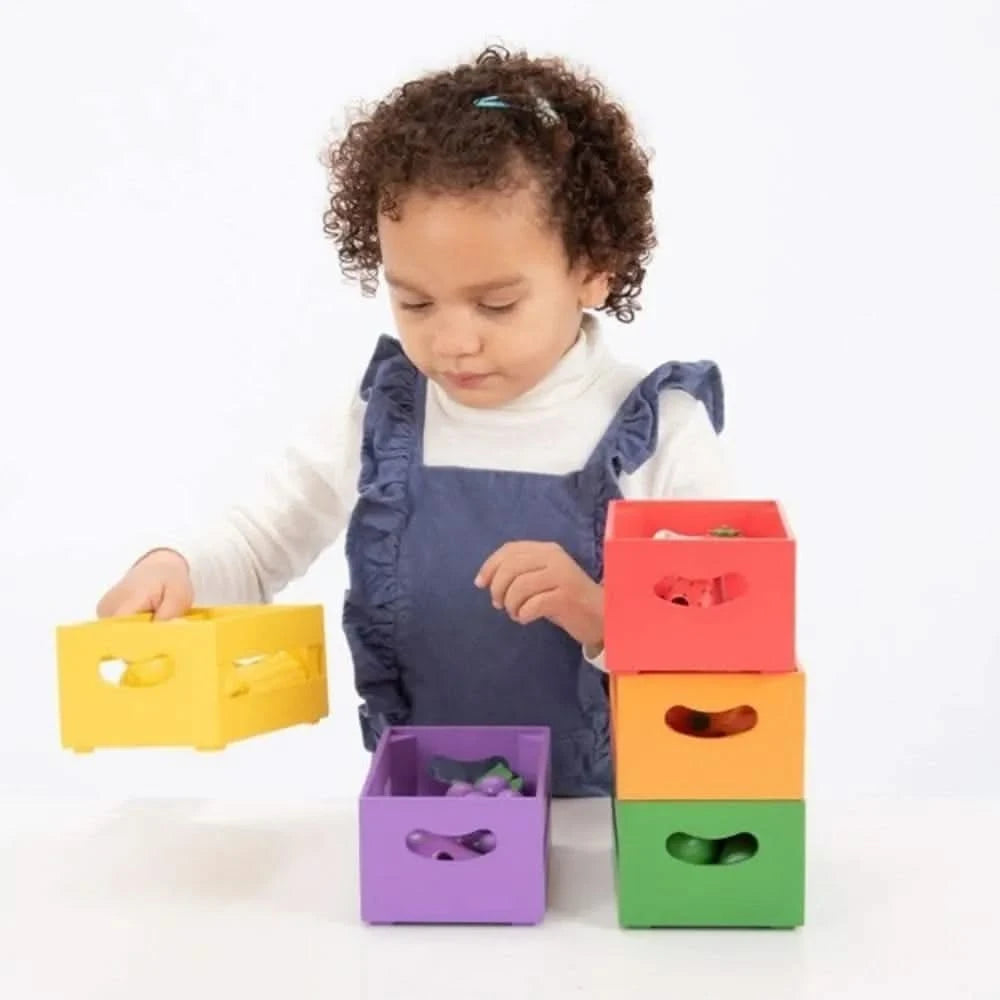 Fruit and Vegetable Colour Sorting Set-Fruit and Vegetable Colour Sorting Set