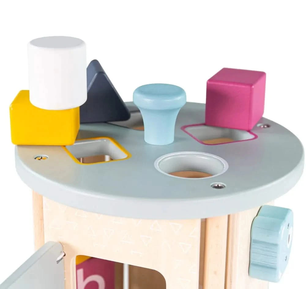 FSC 100% Rolling Activity Sorter-FSC 100% Rolling Activity Sorter