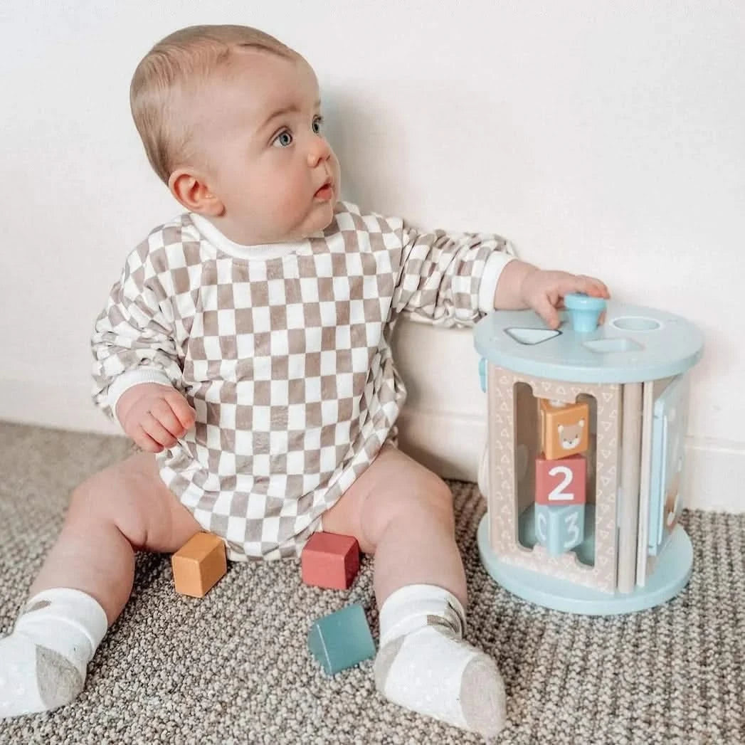 FSC 100% Rolling Activity Sorter-FSC 100% Rolling Activity Sorter