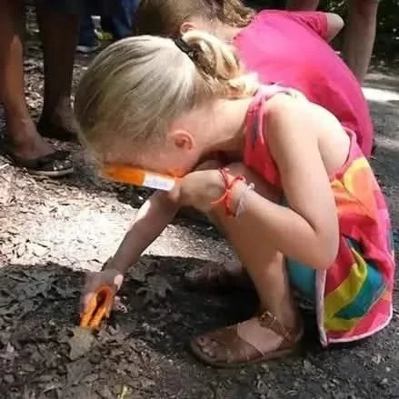 Gator Grabber Tweezers Set of 12-Gator Grabber Tweezers Set of 12