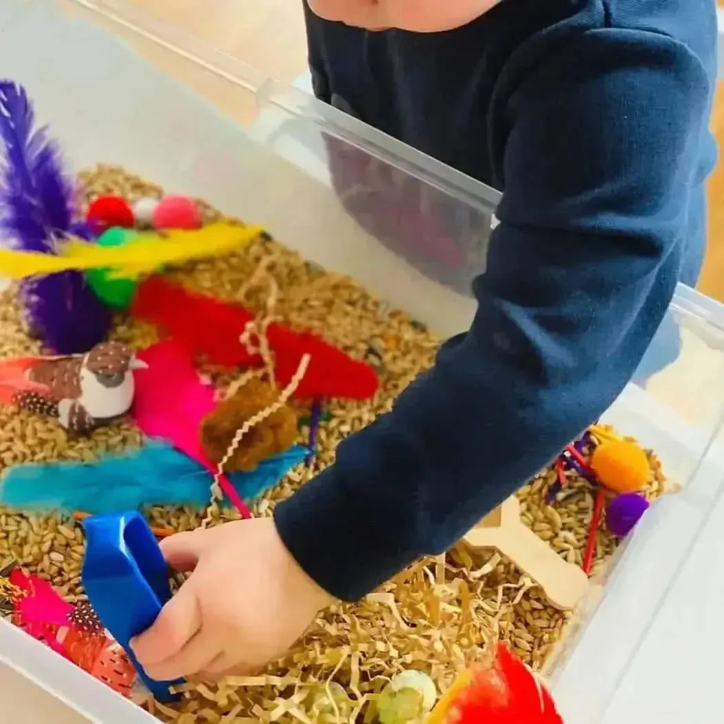 Giant Tweezers Set of 12-Giant Tweezers Set of 12