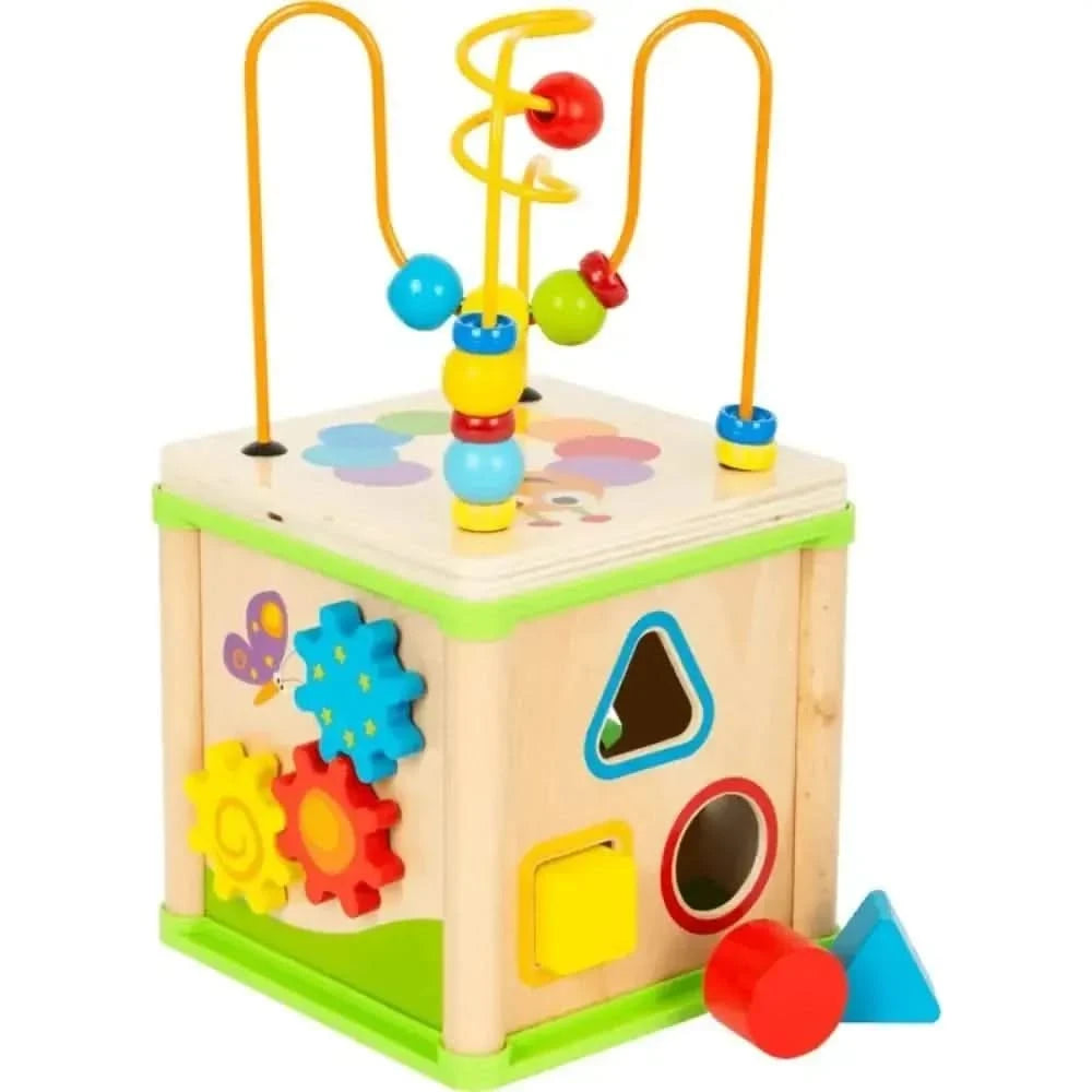 Insect Motor Skills Training Cube-Insect Motor Skills Training Cube