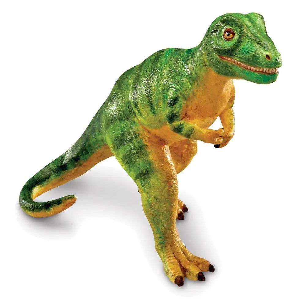 Jumbo Dinosaurs, Imaginative play is larger than life with our realistically detailed jumbo dinosaur sets from Learning Resources. Playing with these tactile Jumbo Dinosaurs animals lets your child learn about different species! Great dinosaur themed imaginative play resource Imaginative play is larger than life with our realistically detailed Jumbo Dinosaurs. Realistically detailed dinosaurs are designed for little hands and big imaginations! Turn your child’s natural fascination with dinosaurs into an ear