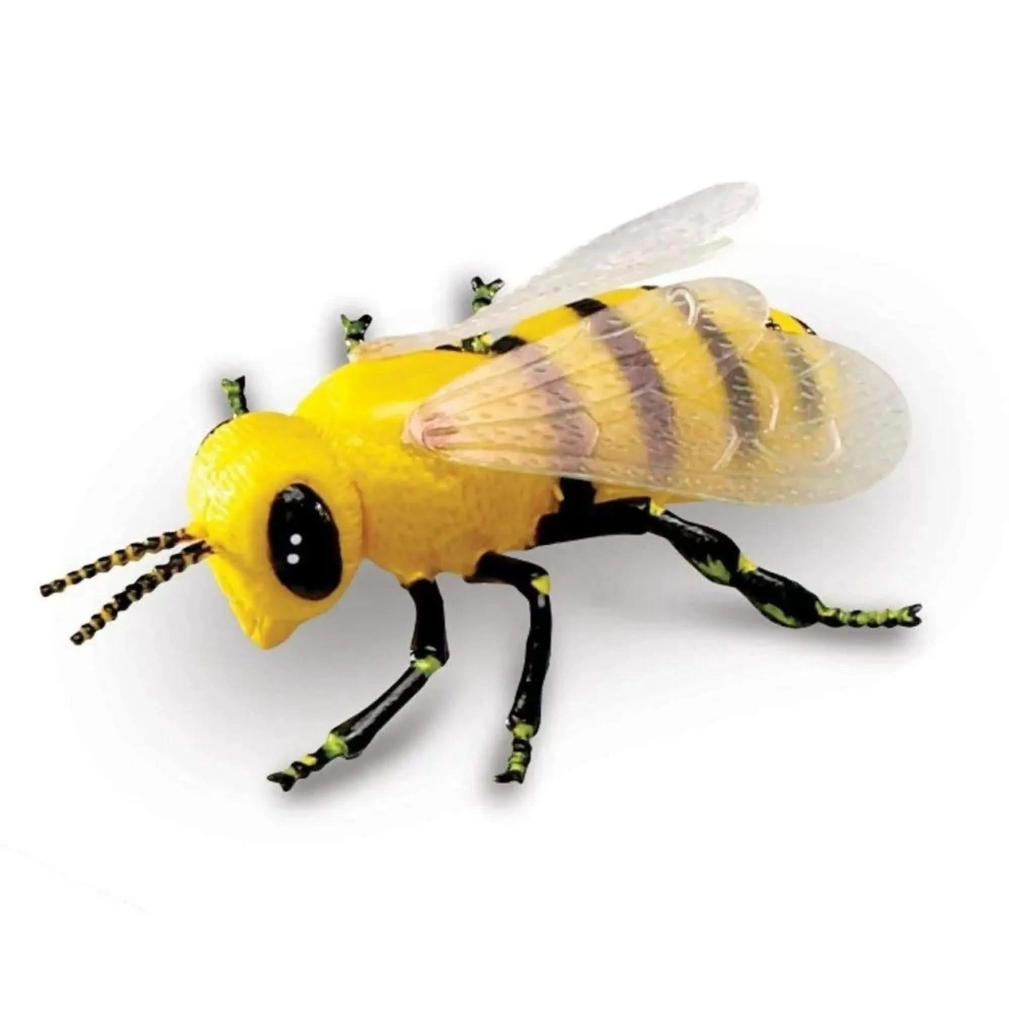 Jumbo Insects-Jumbo Insects