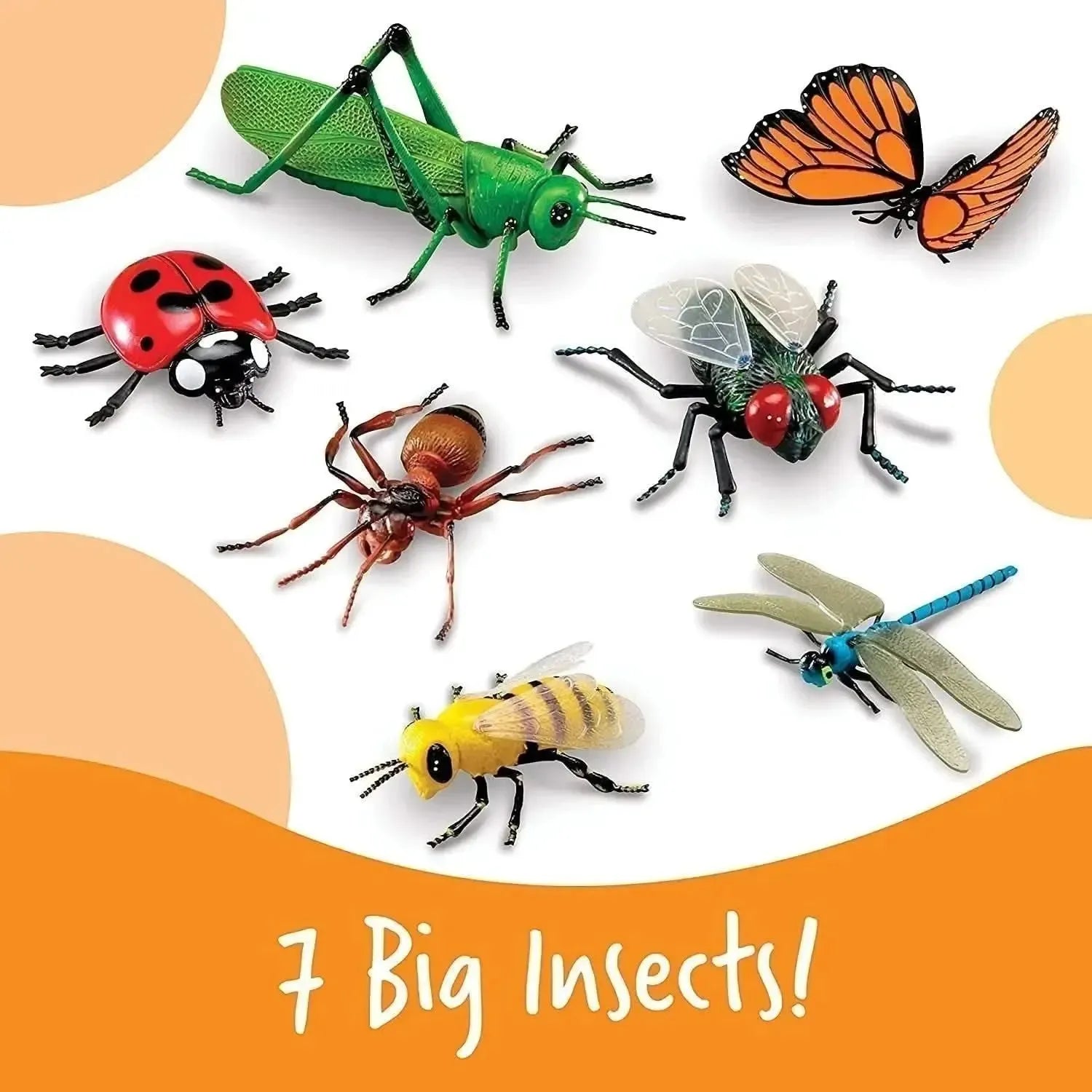Jumbo Insects-Jumbo Insects