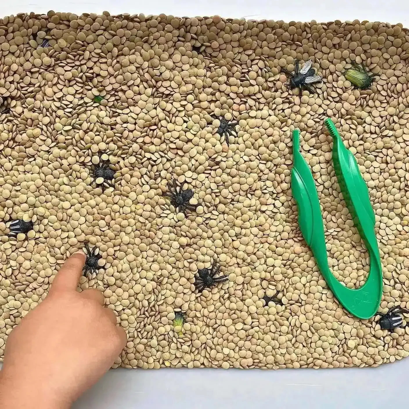 Jumbo Tweezers-Jumbo Tweezers