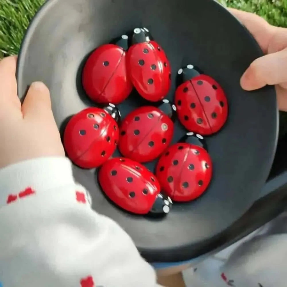 Ladybug Counting Stones Kit-Ladybug Counting Stones Kit
