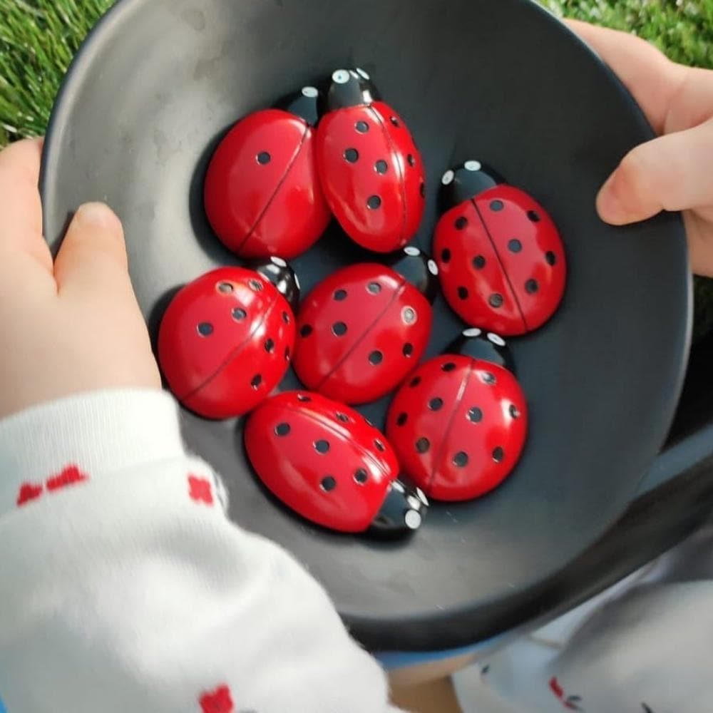 Ladybug Counting Stones Kit, Ladybug Counting Stones kit can be used throughout a setting to explore counting to 20, subitising, odd and even numbers, and addition. The Ladybug Counting Kit comes supplied with Ladybug Counting Cards and Ladybug Counting Stones. Bury the bugs in a tray filled with leaves and twigs or scatter them around the edge of an outdoor nature area for the children to discover. Ladybug Counting Stones can be used throughout a setting to explore counting to 20, subitising, odd and even 