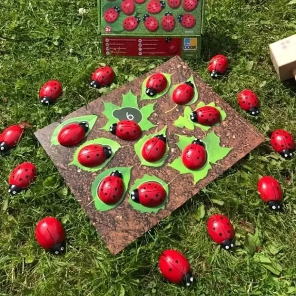 Ladybug Counting Stones Kit-Ladybug Counting Stones Kit