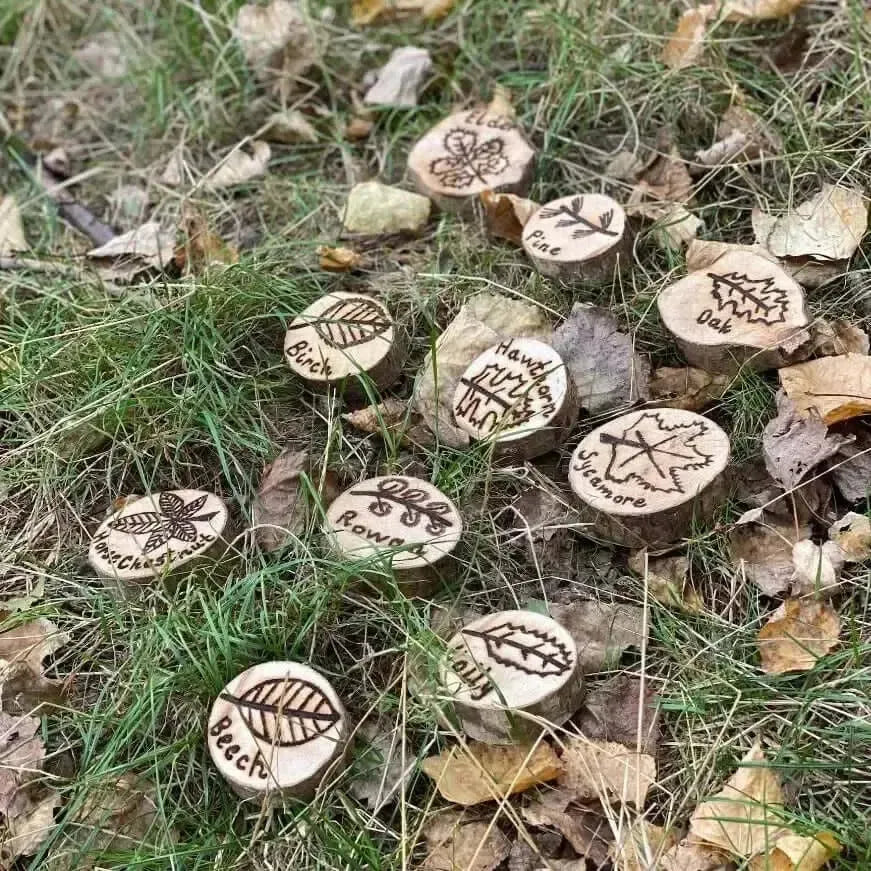 Leaf Garden Discs-Leaf Garden Discs