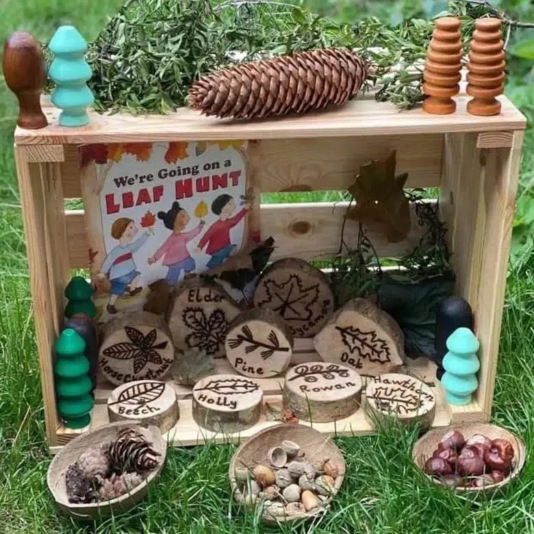 Leaf Garden Discs-Leaf Garden Discs