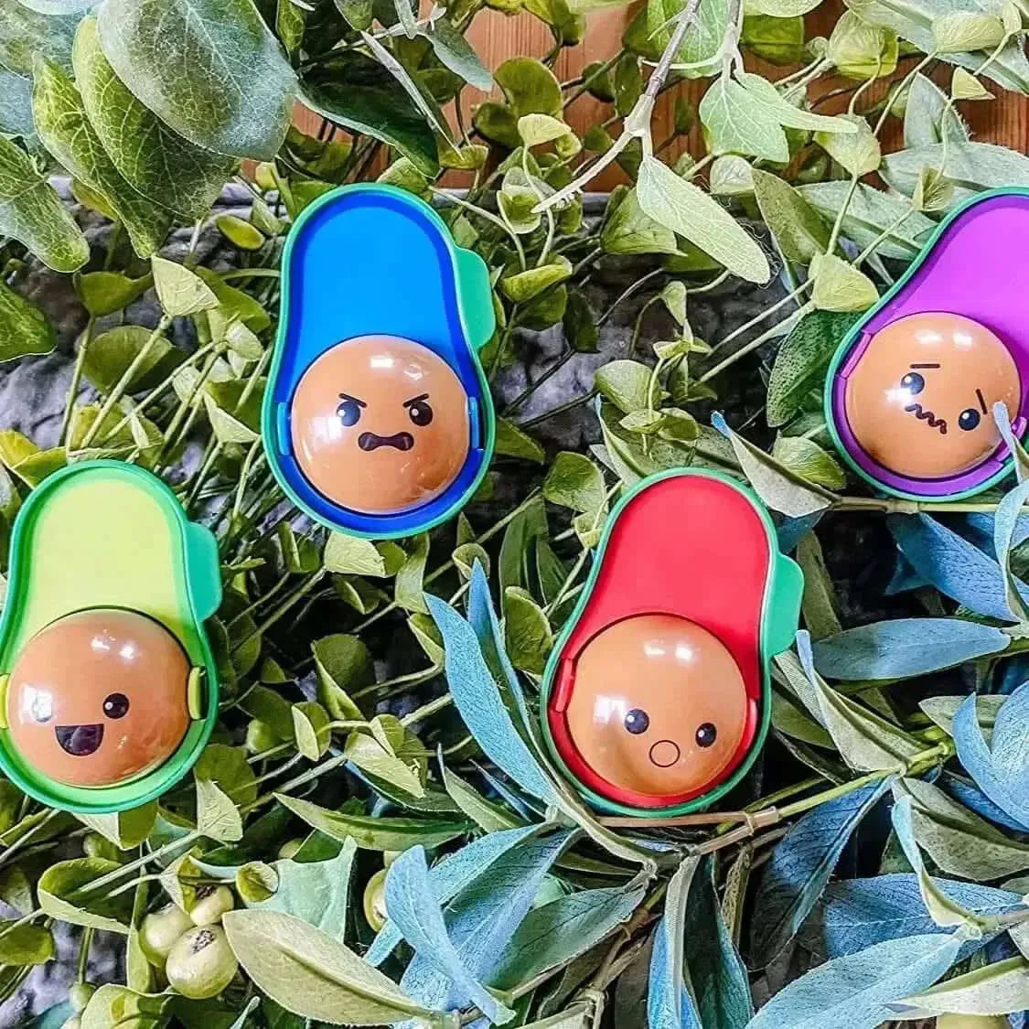 Learn A Lot Avocados-Learn A Lot Avocados