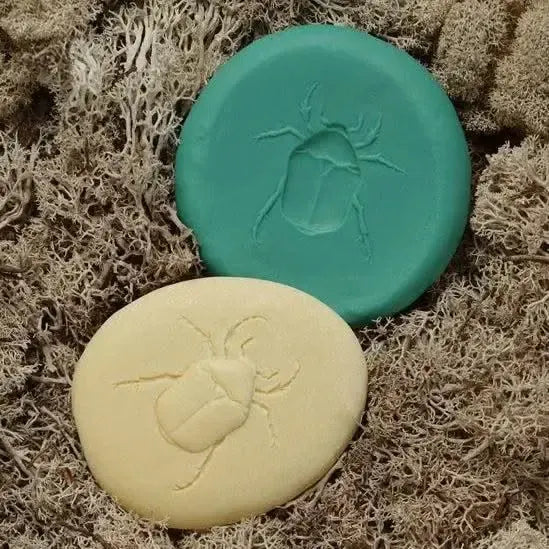 Let’s Investigate Bugs-Let’s Investigate Bugs