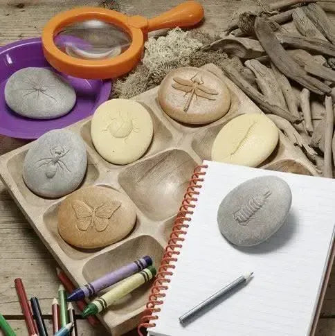 Let’s Investigate Bugs-Let’s Investigate Bugs