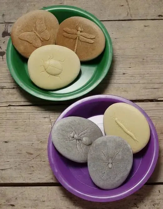 Let’s Investigate Bugs-Let’s Investigate Bugs