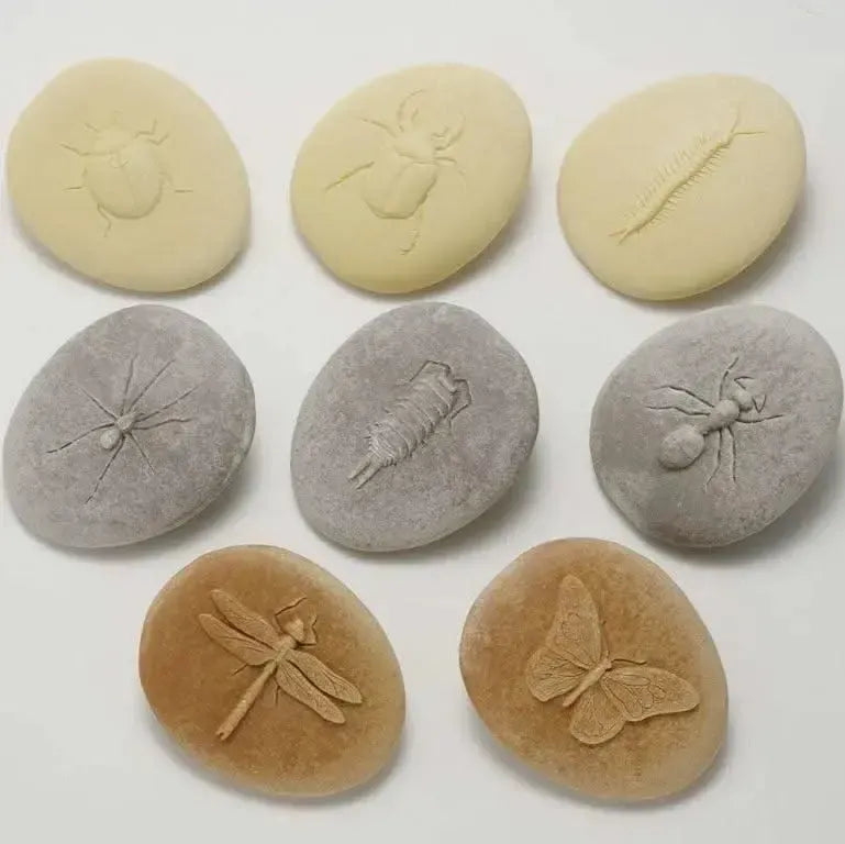 Let’s Investigate Bugs-Let’s Investigate Bugs