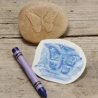 Let’s Investigate Bugs-Let’s Investigate Bugs