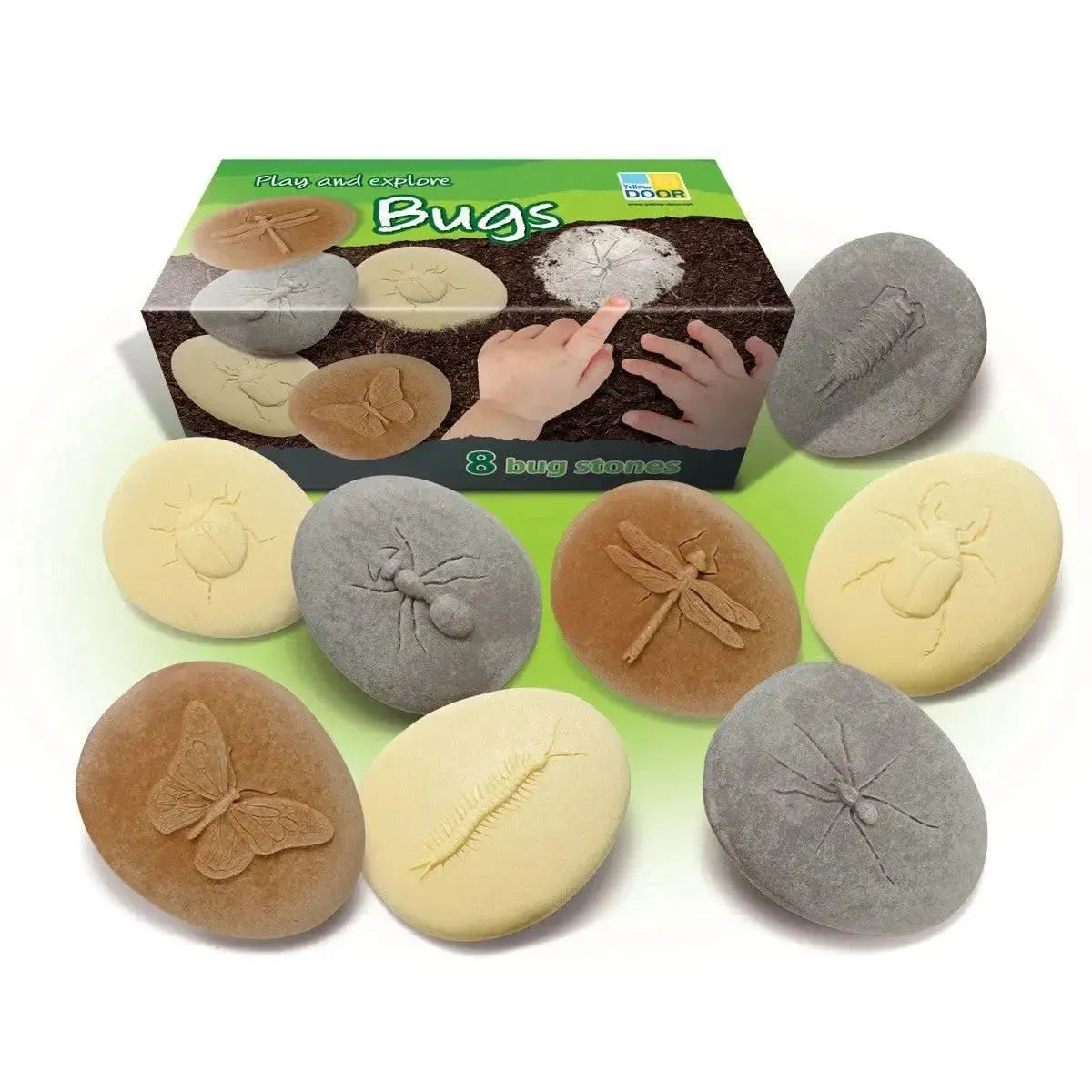 Let’s Investigate Bugs-Let’s Investigate Bugs