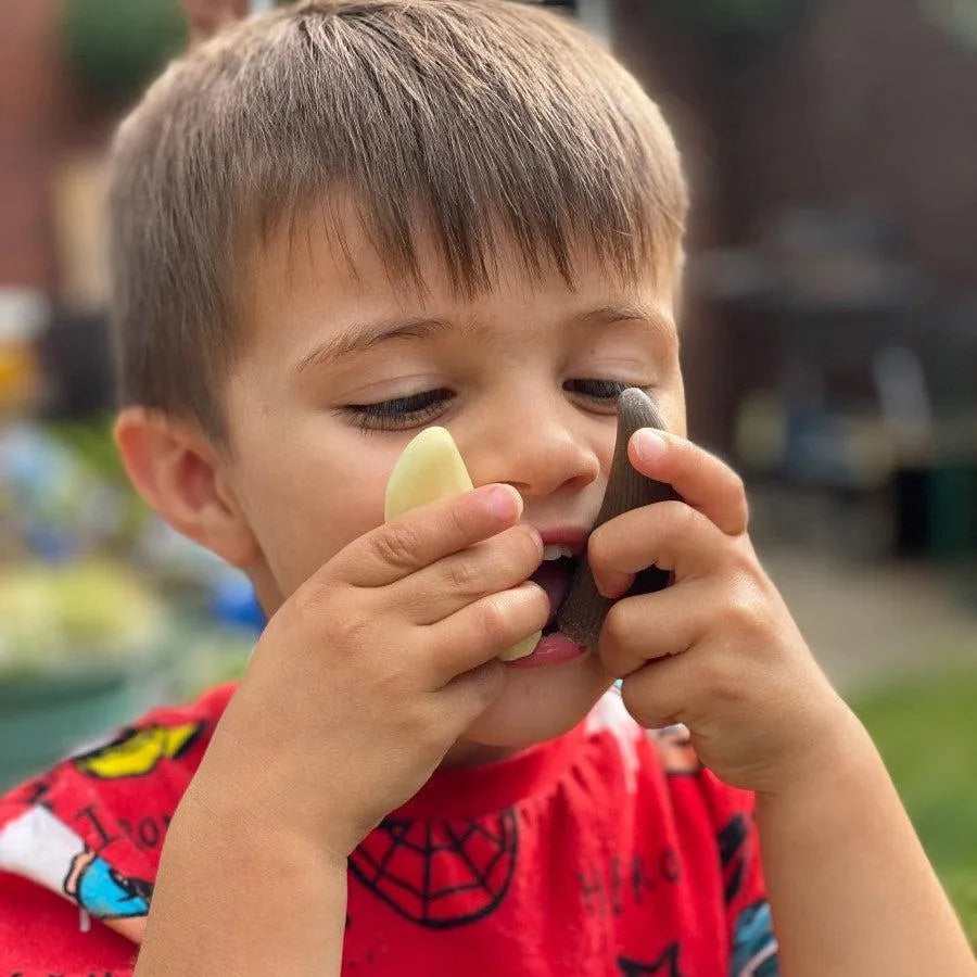 Let’s Investigate Prehistoric Teeth-Let’s Investigate Prehistoric Teeth