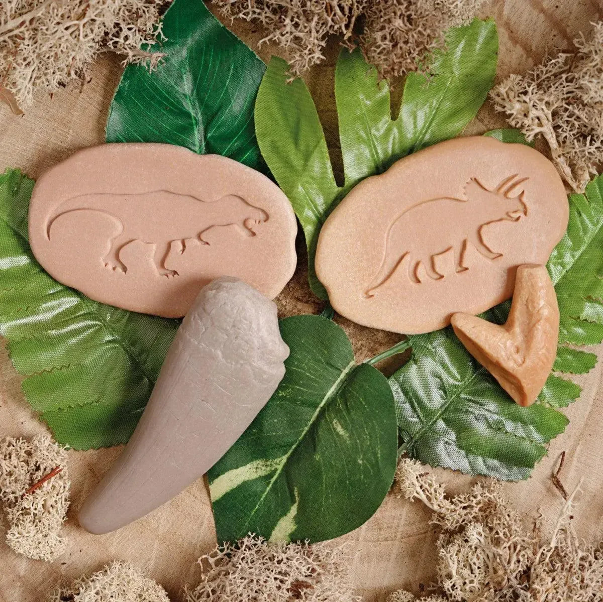 Let’s Investigate Prehistoric Teeth-Let’s Investigate Prehistoric Teeth