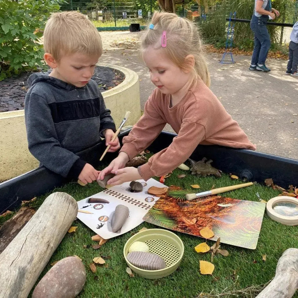 Let’s Investigate Prehistoric Teeth-Let’s Investigate Prehistoric Teeth