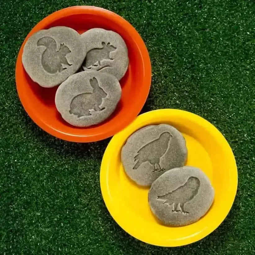 Let’s Investigate Woodland Footprints-Let’s Investigate Woodland Footprints