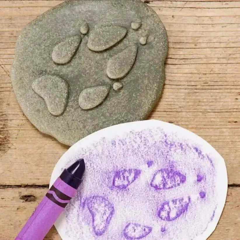 Let’s Investigate Woodland Footprints-Let’s Investigate Woodland Footprints
