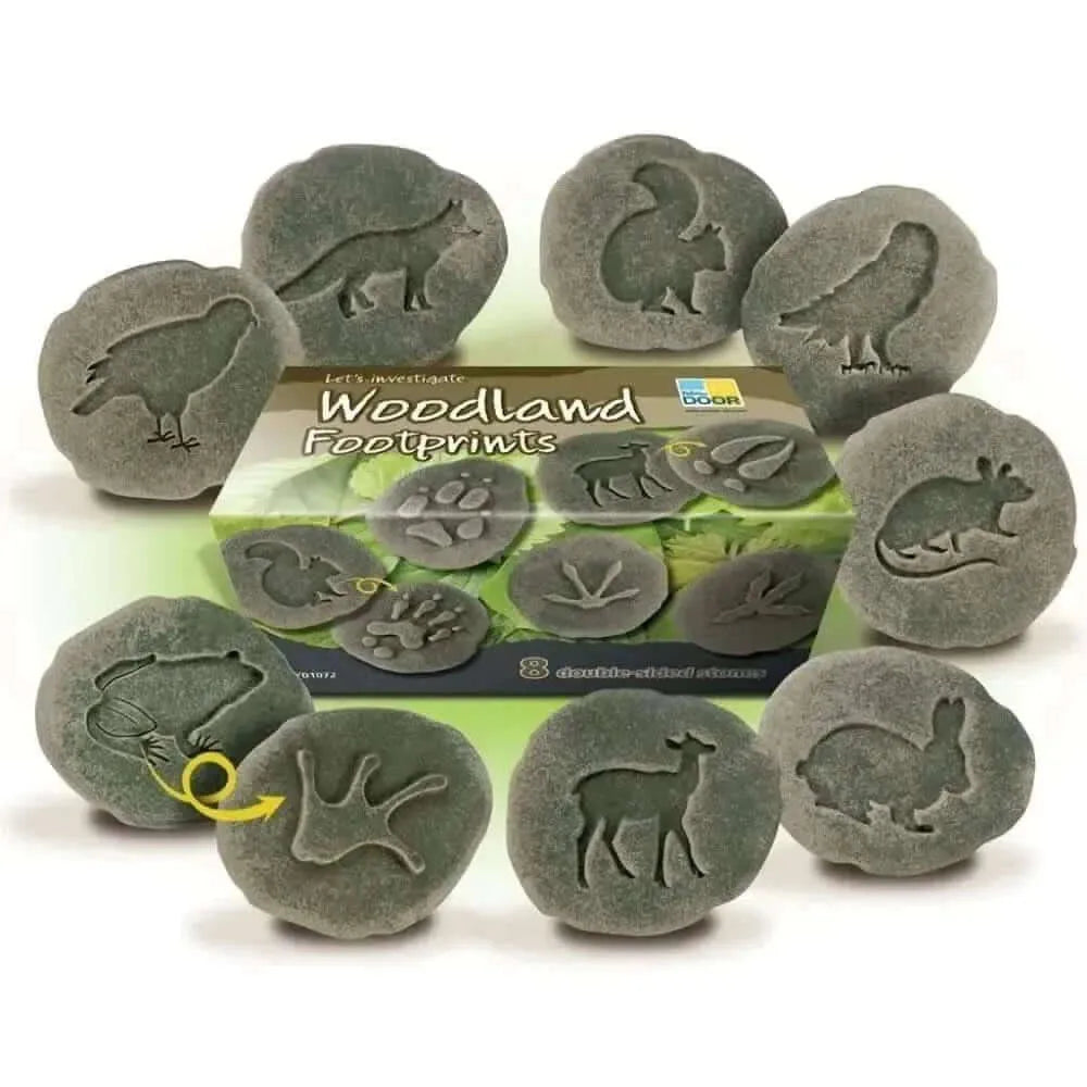 Let’s Investigate Woodland Footprints-Let’s Investigate Woodland Footprints