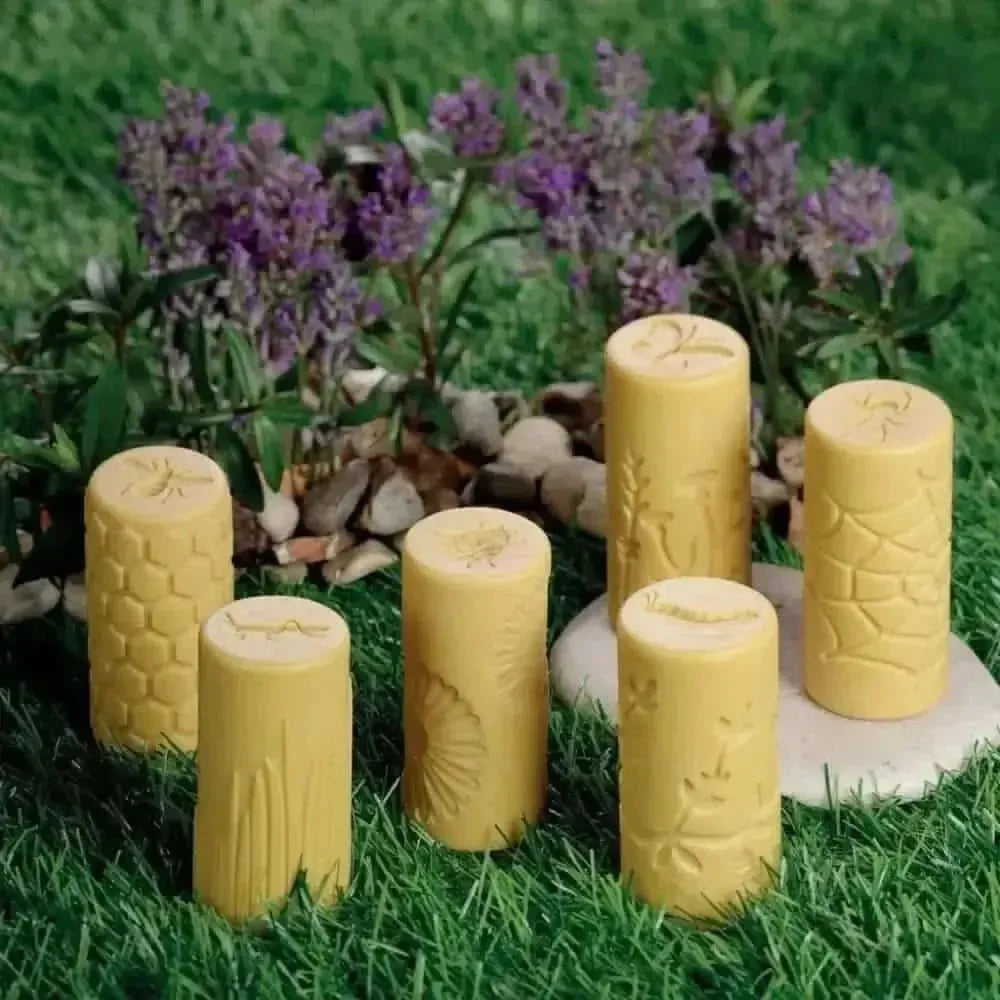 Let's Roll Garden Bugs pk 6-Let's Roll Garden Bugs pk 6