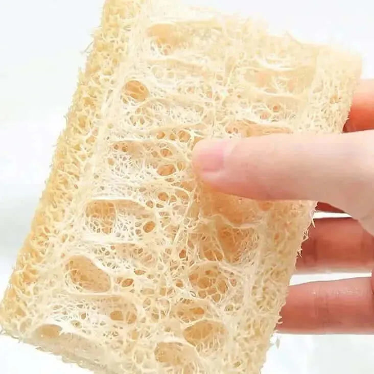 Loofah Sponges-Loofah Sponges