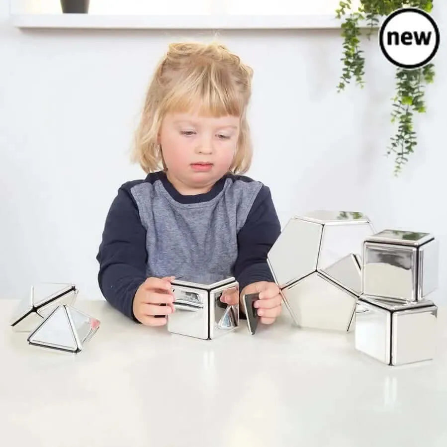 Mirrored Magnetic Polydron-Mirrored Magnetic Polydron