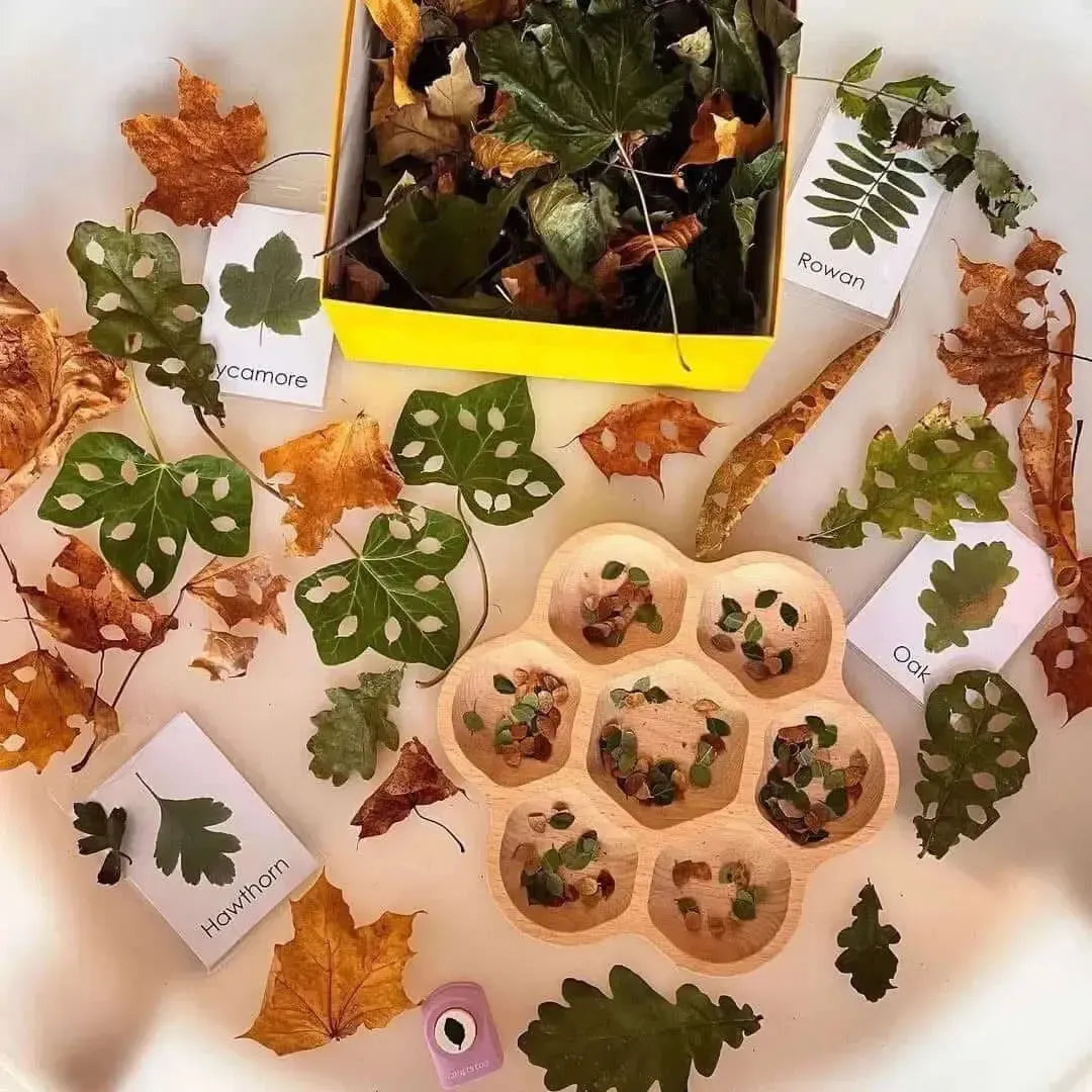 Natural Flower Tray-Natural Flower Tray