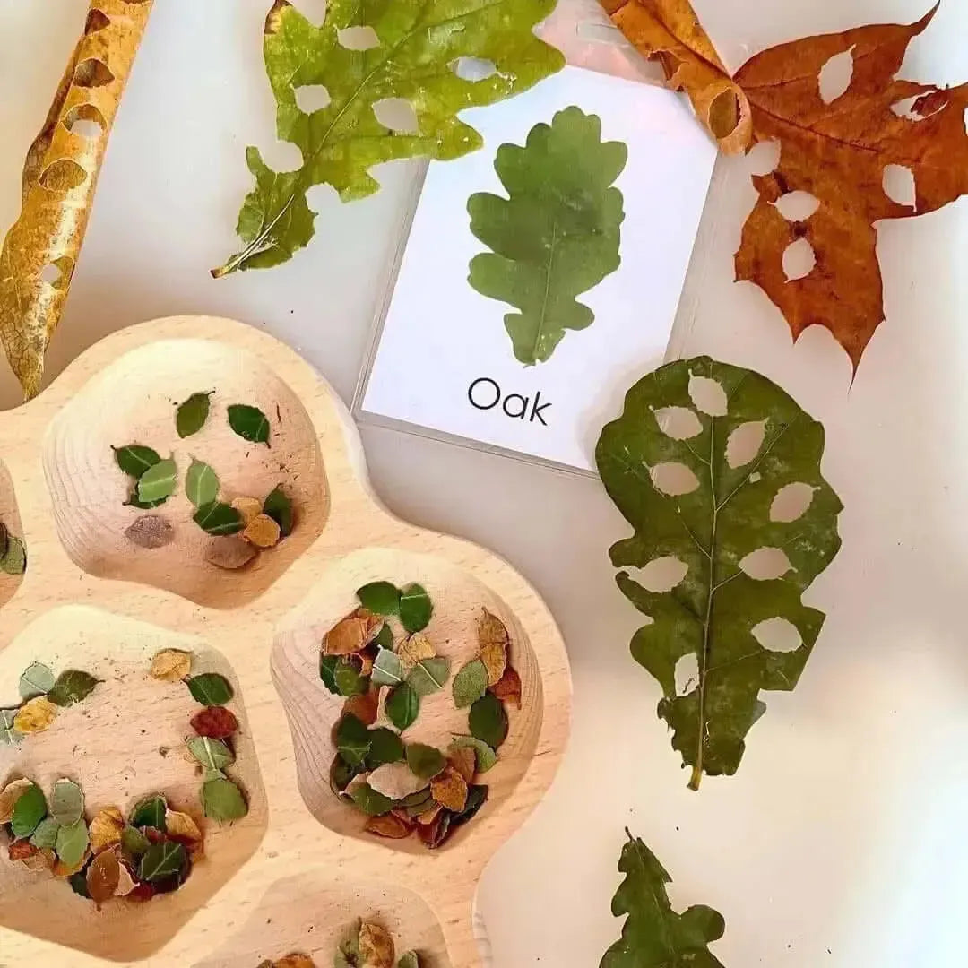 Natural Flower Tray-Natural Flower Tray