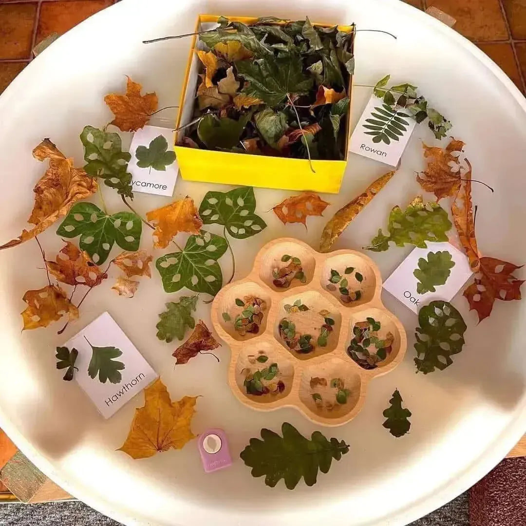 Natural Flower Tray-Natural Flower Tray