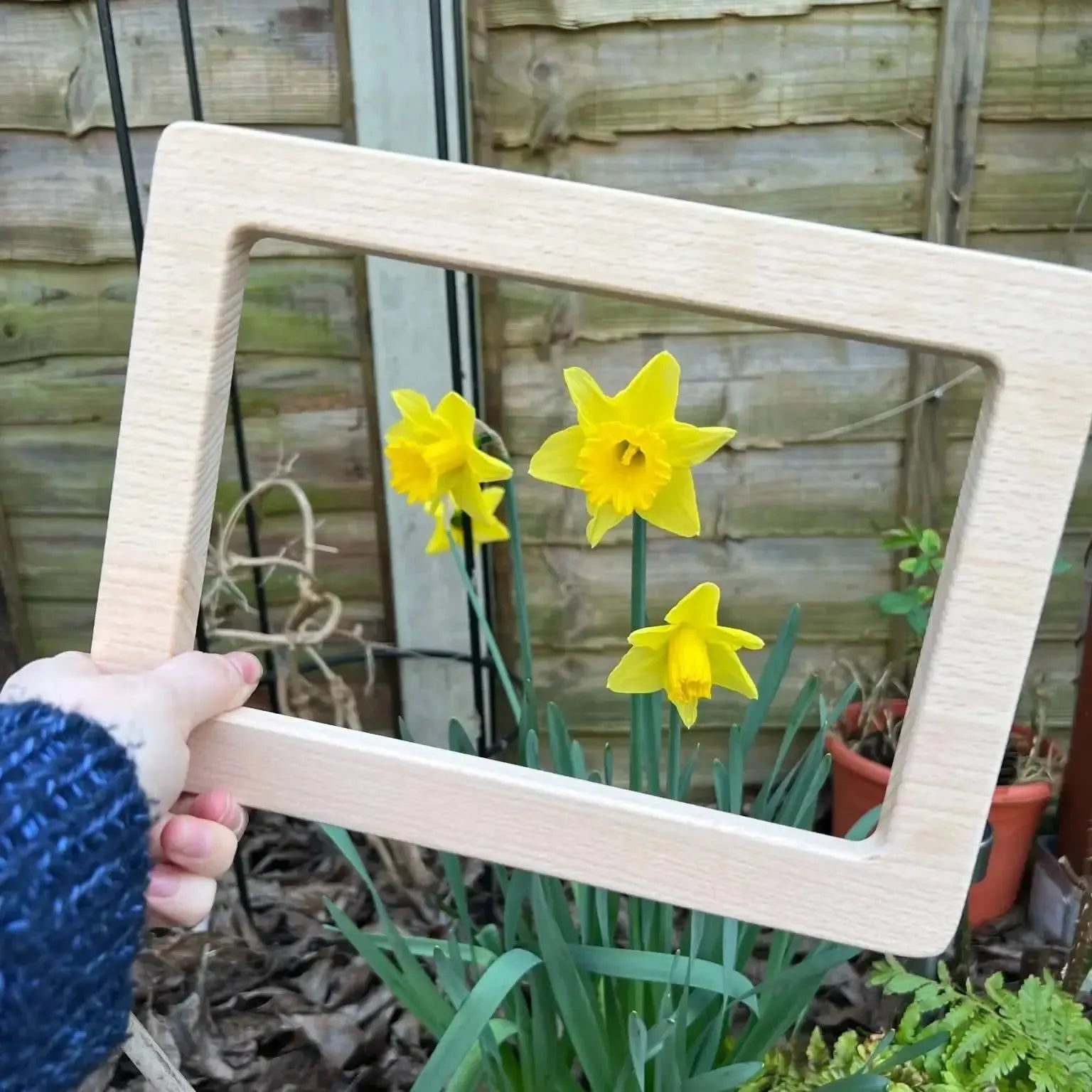 Natural Focus Frames Set of 3-Natural Focus Frames Set of 3