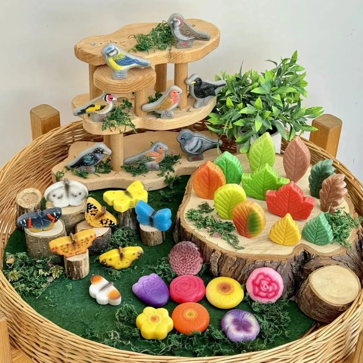 Nature Collection – Sensory Play Stones-Nature Collection – Sensory Play Stones